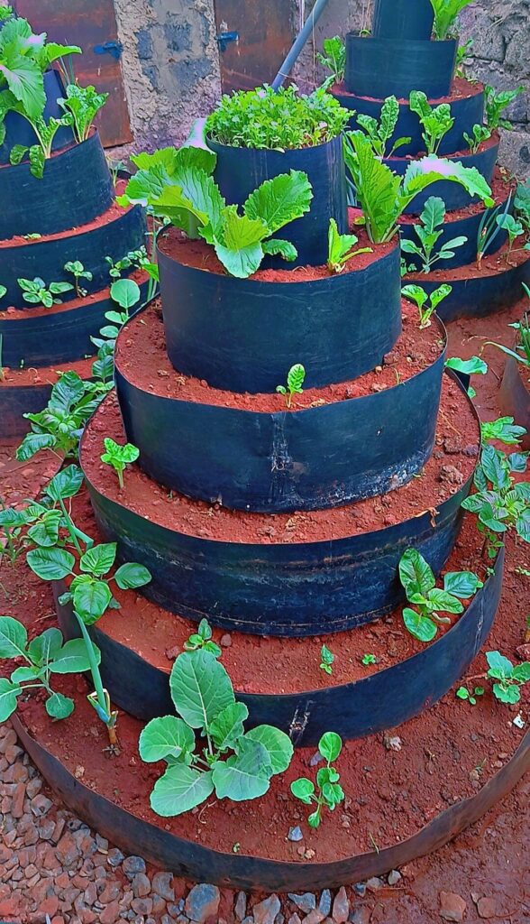 Emmat Agrofarm uRBAN Farming