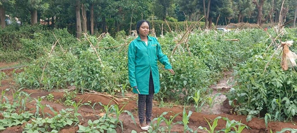 About Emmat AGroFarm