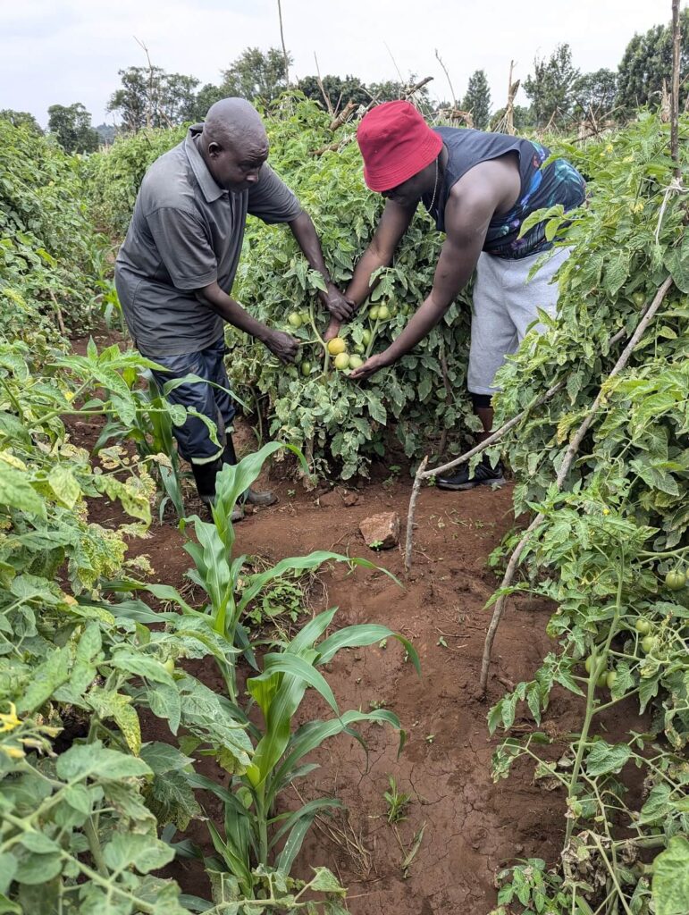 Rural Agriculture with Emmat Agrifarm